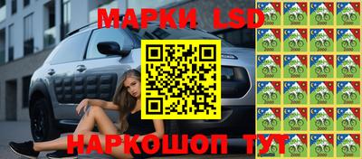 шишки Шелехов