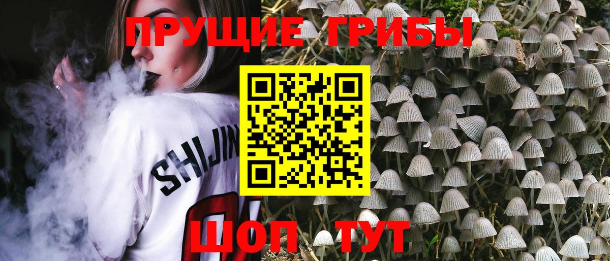 Псилоцибиновые грибы GOLDEN TEACHER Лесозаводск
